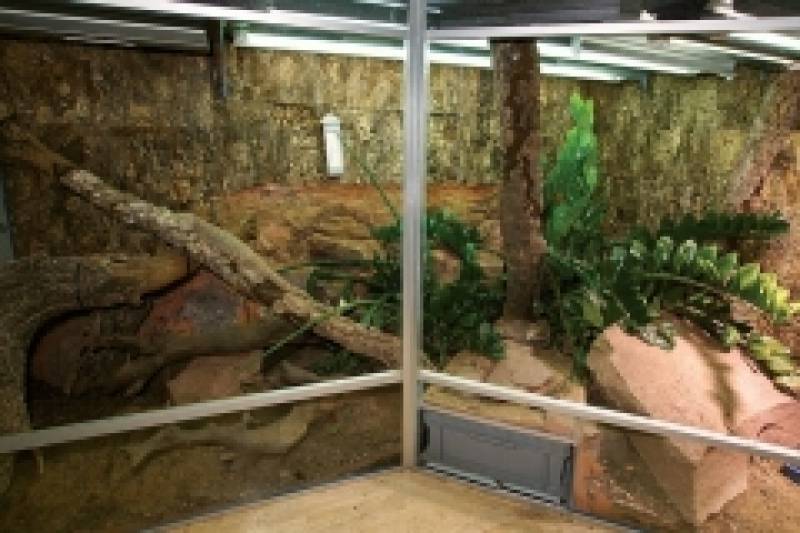 Captive Habitats - Building, furnishing and maintaining